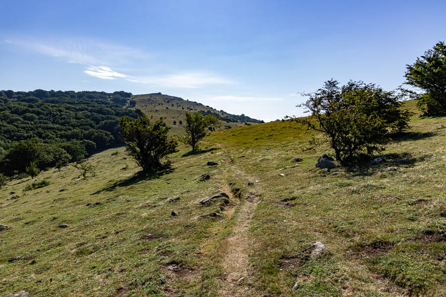 GR 10 près de coll del Faig