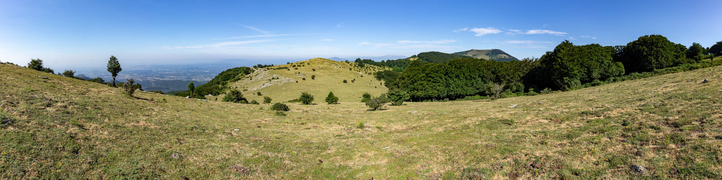 Près du coll del Faig