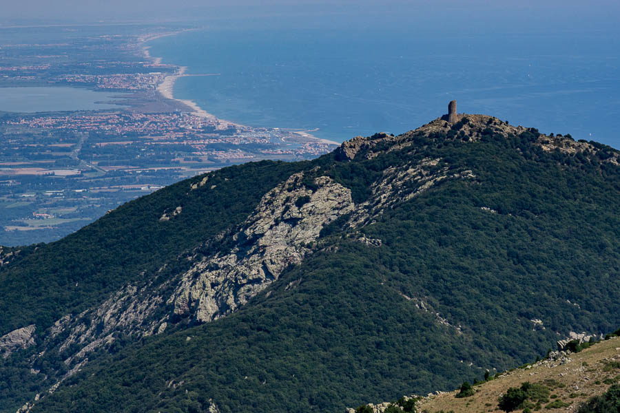 Tour de la Massane, 794 m