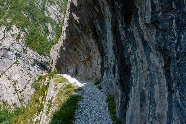 Chemin de la mâture