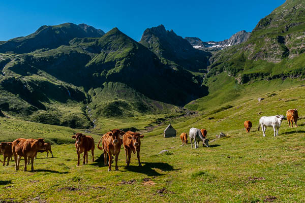 Cabane d'Ourtiga, 1620 m