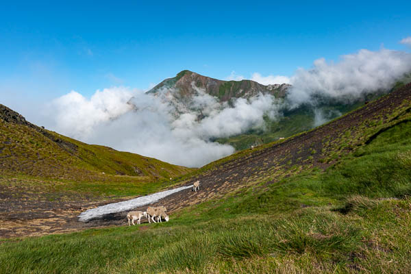 Col d'Auéran, 2176 m