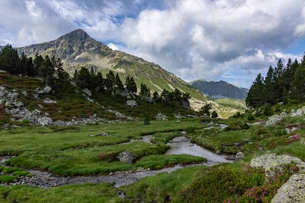 Puig Pedros et ruisseau de de Coume d'Agnel