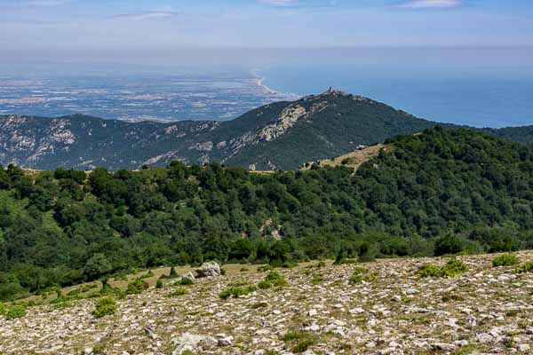 Tour de la Massane, 794 m