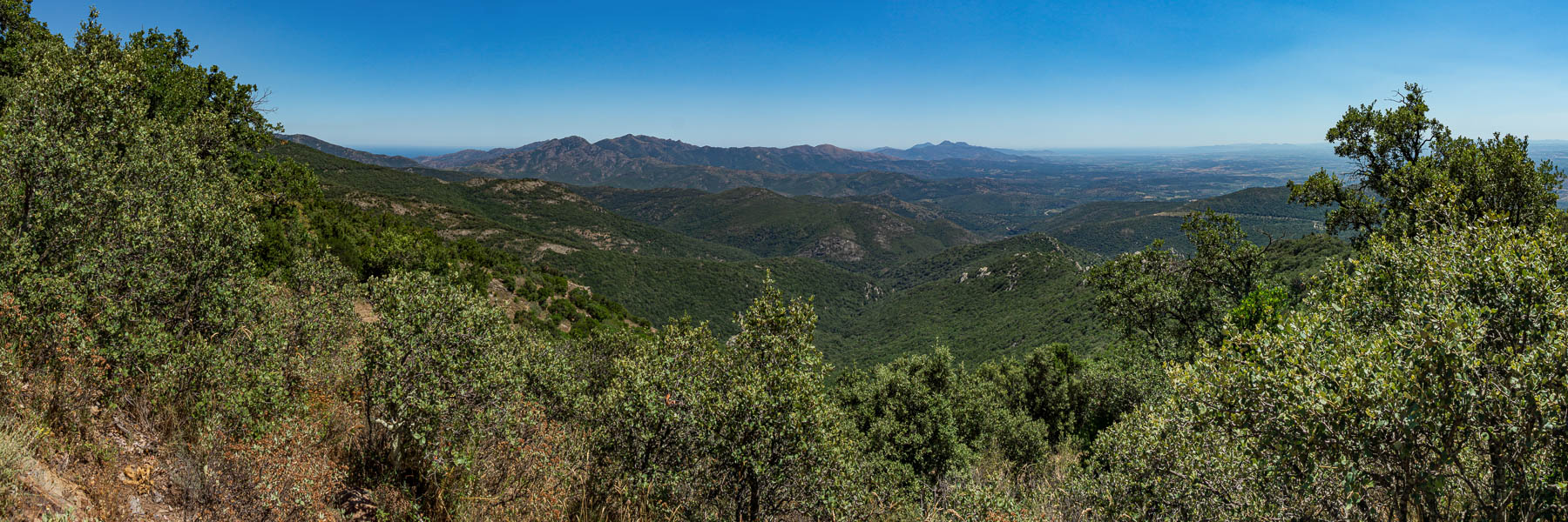 Vue vers l'est : baies de Banyuls et Roses