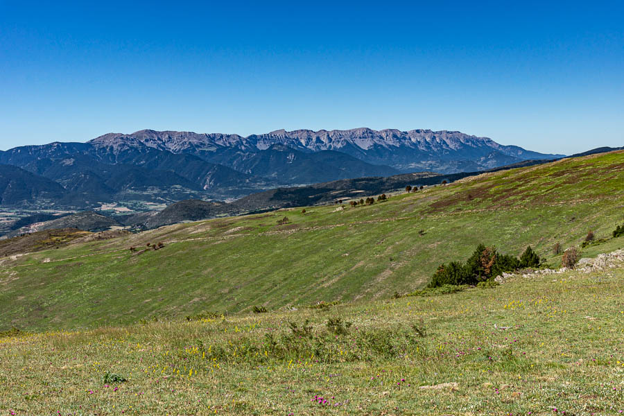 Sierra de Cadi