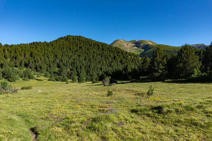 Pré avant le col d'Ordino : pic de Casamanya, 2740 m