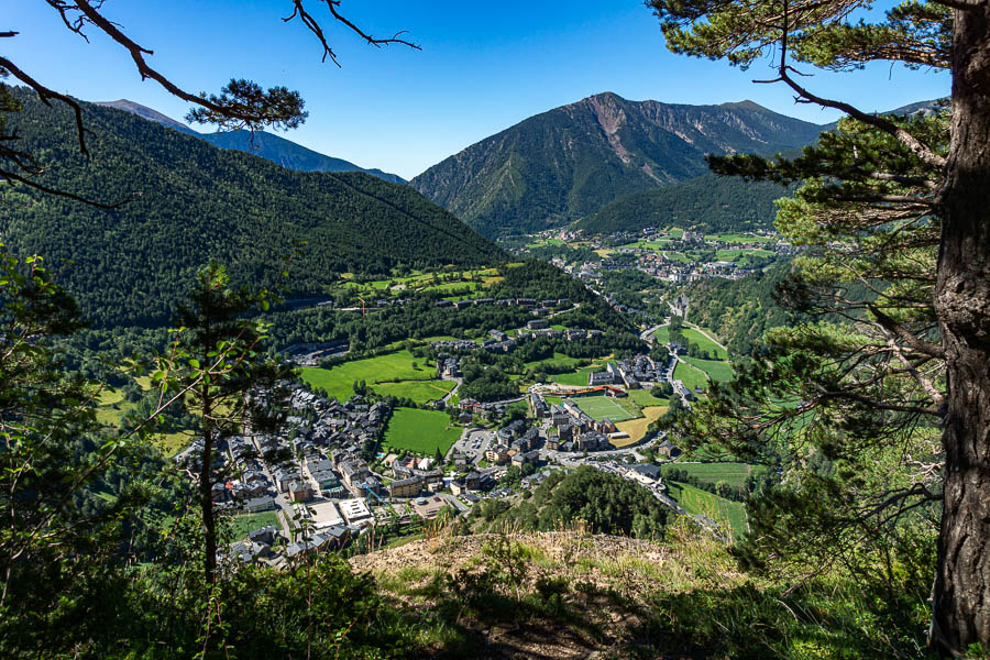 Ordino