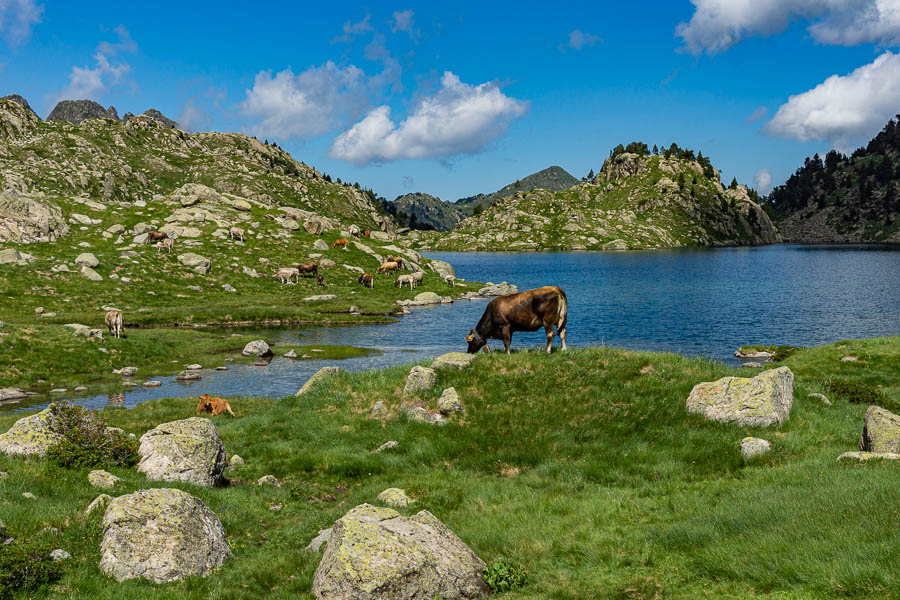 Lac Obago