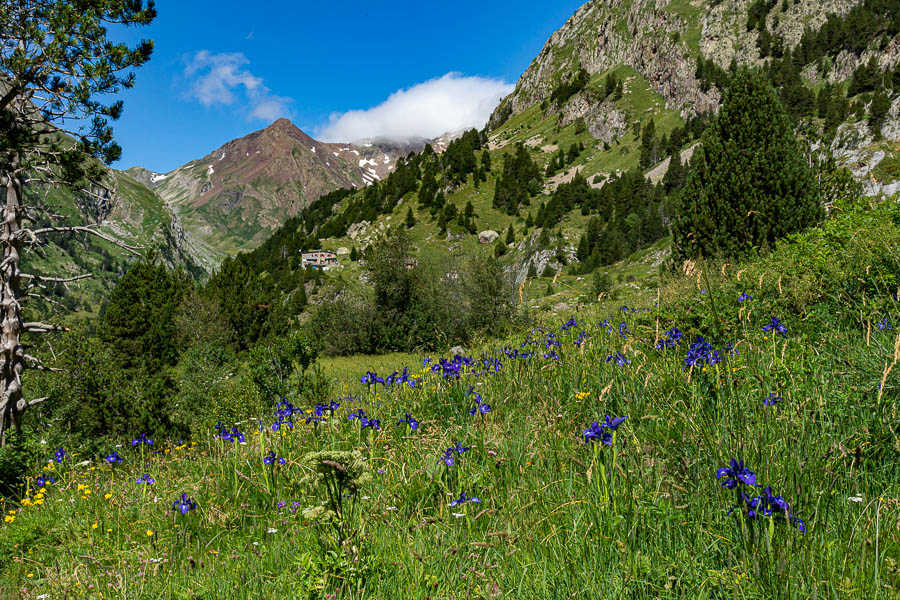 Iris, refuge d'Estós