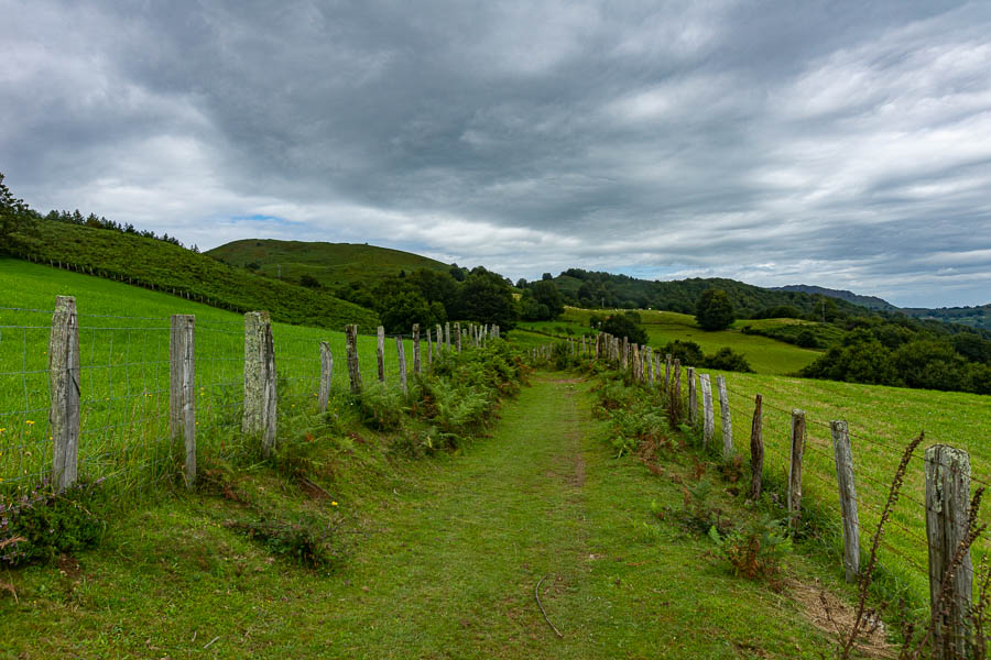 Chemin