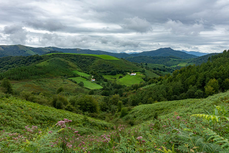 Paysage basque