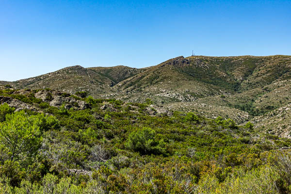 Cap de Creus : puig dels Bufadors