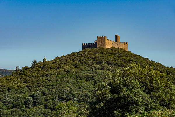 Château de Requesens