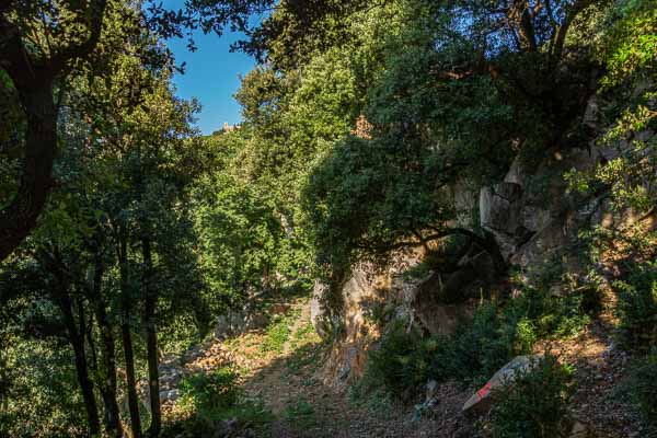 Sentier vers Talaixá