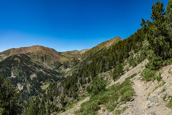 Sentier vers le refuge Els Engorgs