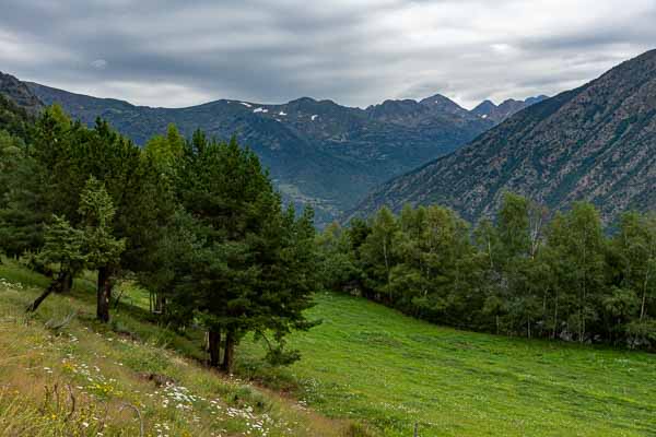 Vallée au-dessus d'Àreu, au loin la pica d'Estats