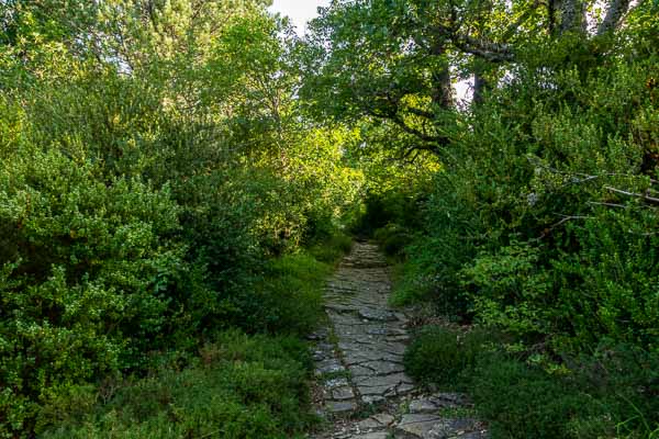 Sentier pavé