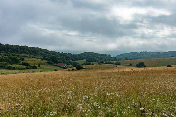 Paysage navarrais