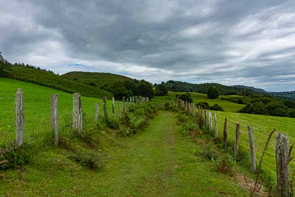 Chemin