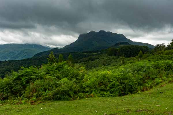 Peñas de Haya