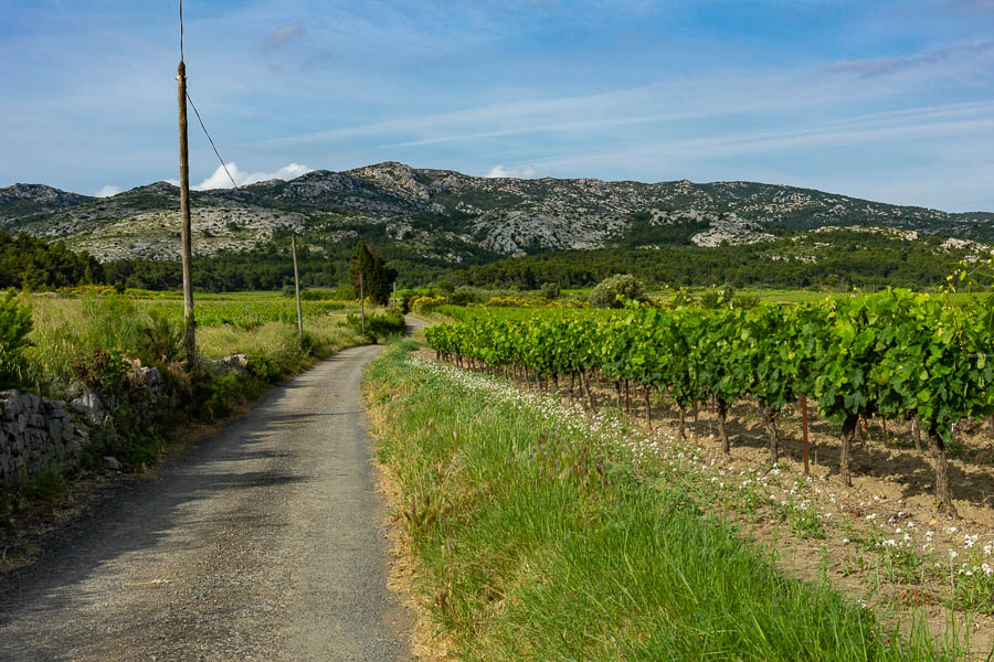 Corbières