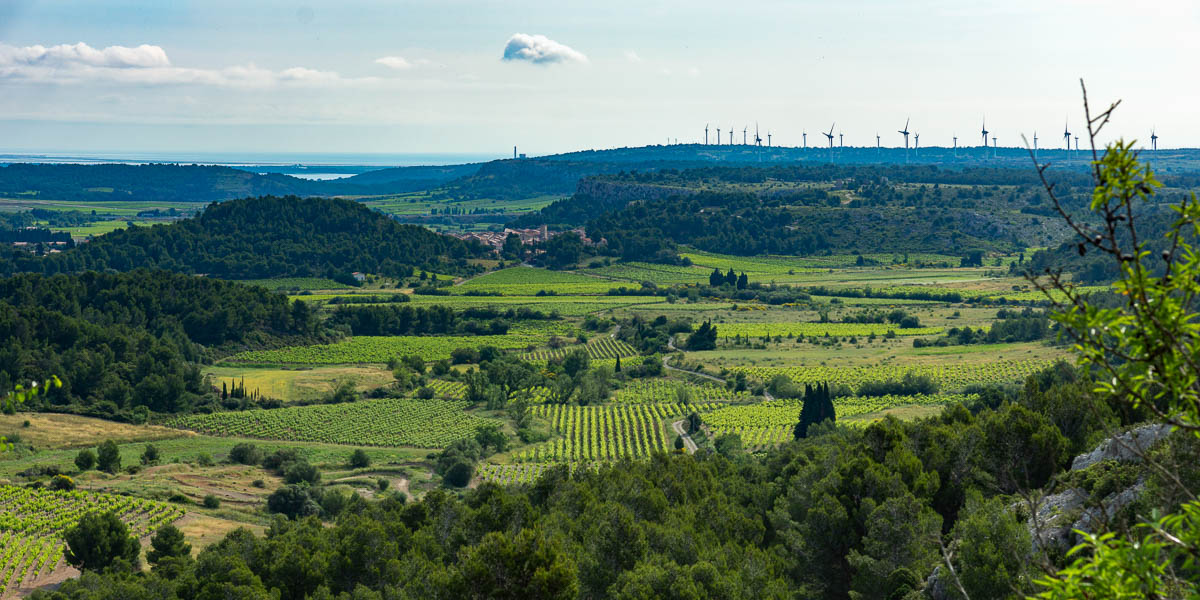 Roquefort-des-Corbières