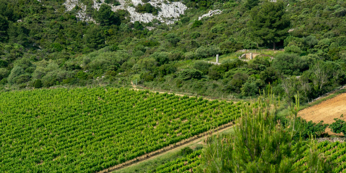 Vallon de la Clotte : bornes milliaires