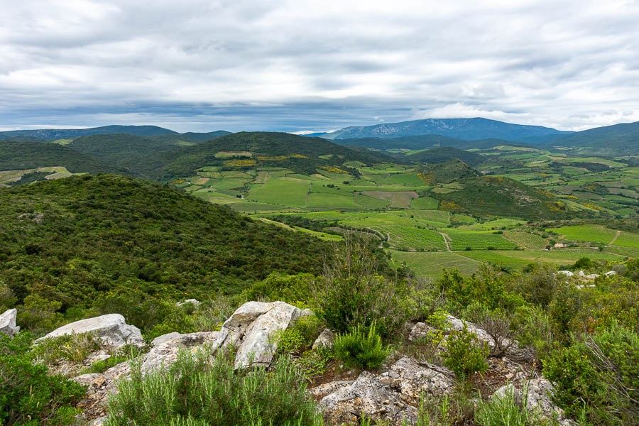 Sainte Raphine : vue sud-ouest