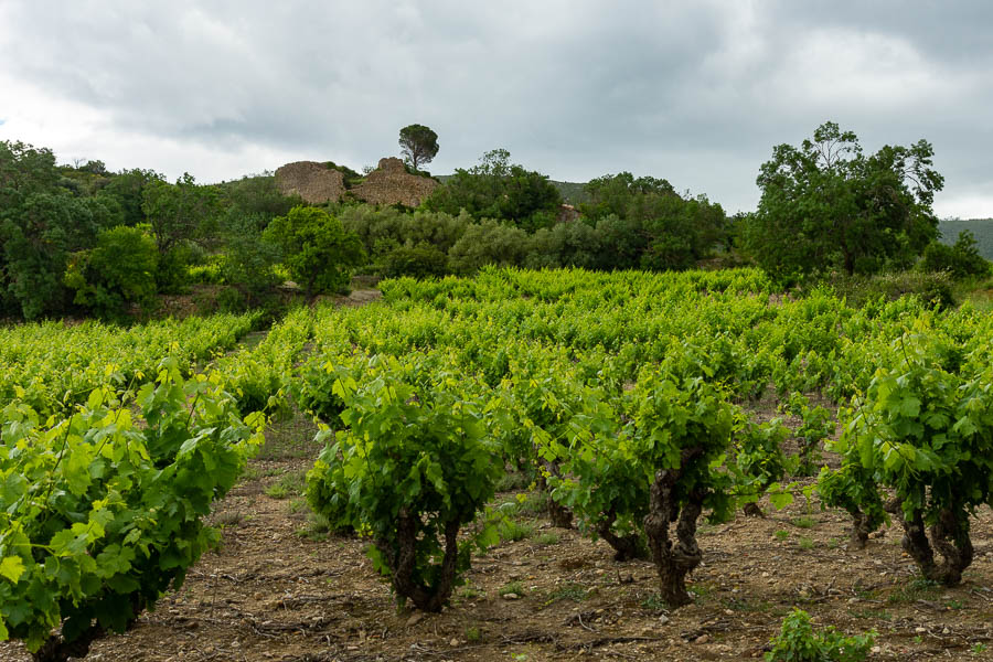 Château de Donneuve