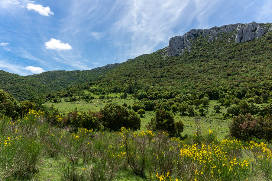 Pla de Brézou