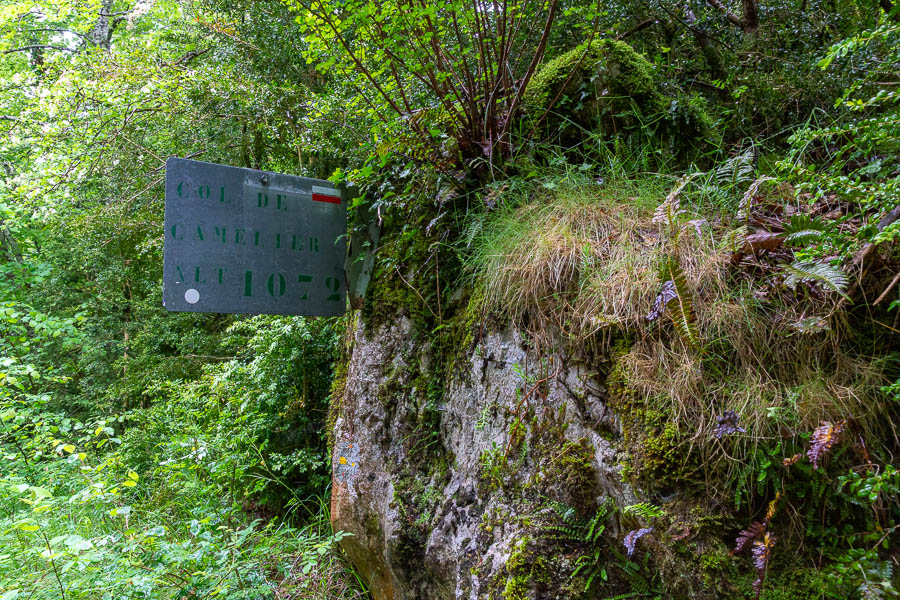 Col de Camelier