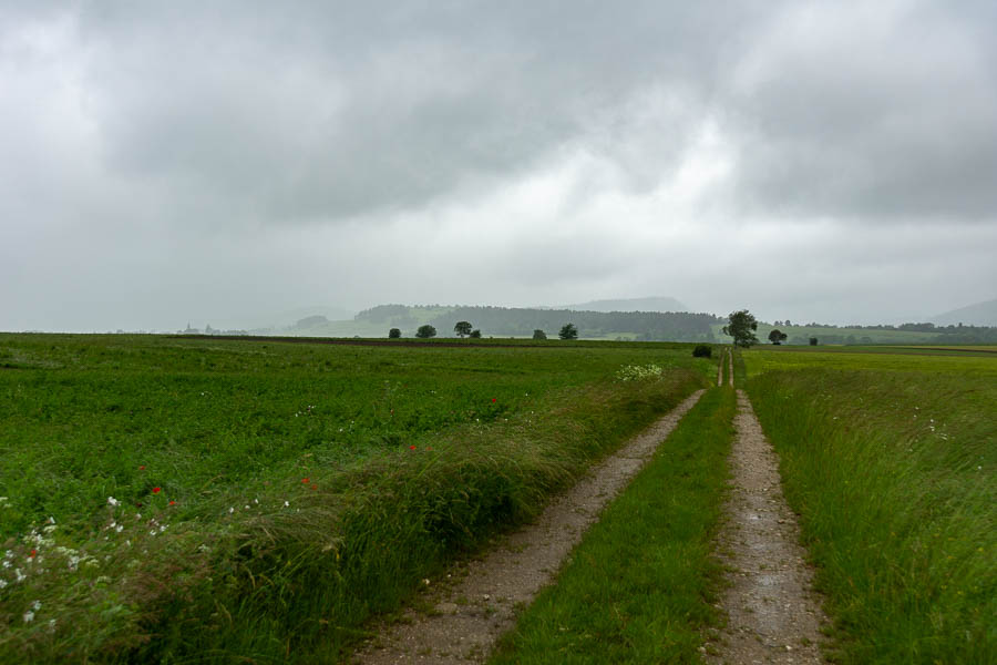 Plateau de Sault