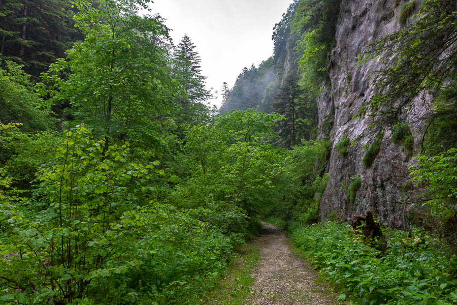 Gorges de la Frau