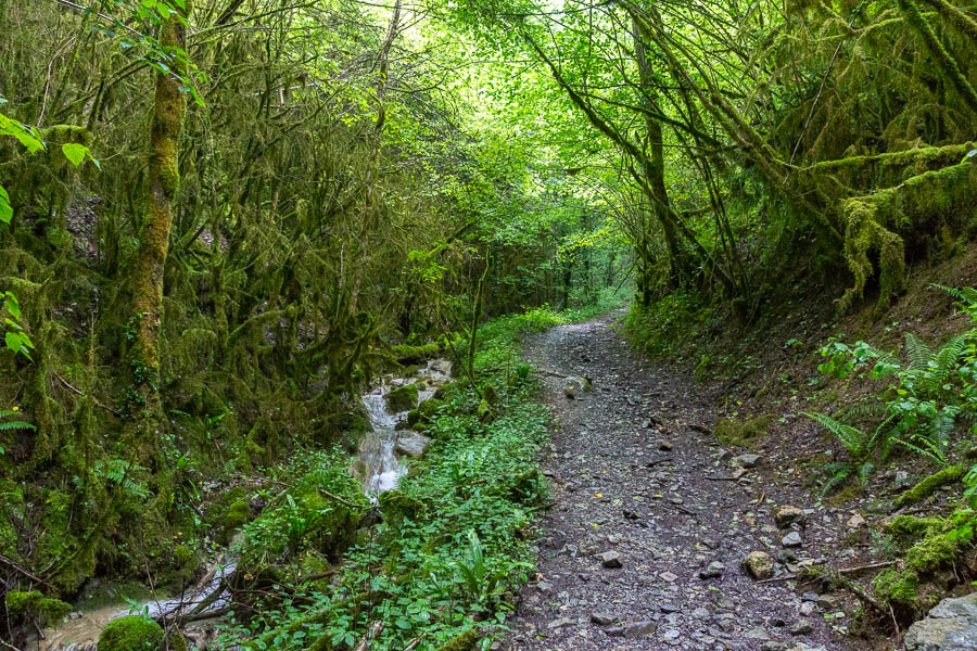Montée vers Montségur