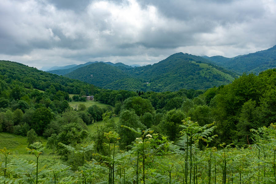 Près de Montferrier