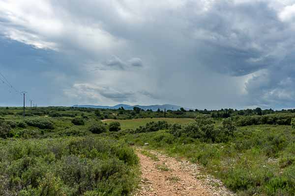 Garrigue