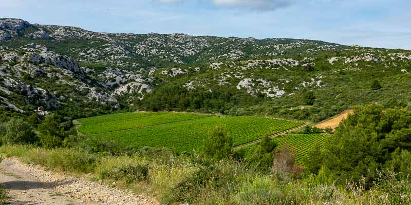 Vallon de la Clotte : bornes milliaires