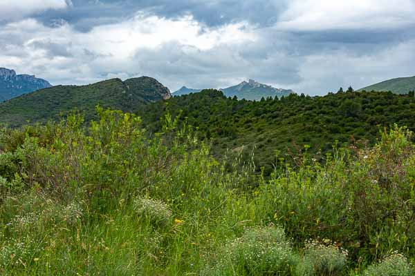 Château de Peyrepertuse