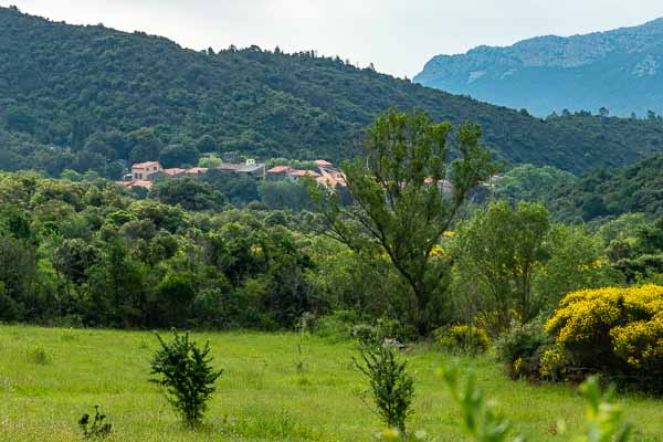 Prugnanes