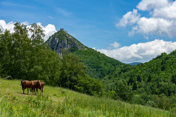 Château de Montségur depuis le nord-ouest