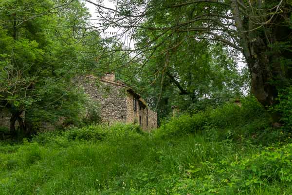 Ruines de Pech de Naut