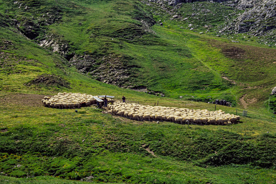 Ossau, 2884 m, cabane de Peyreget