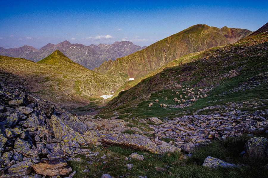 Col de Certascan : vue ouest