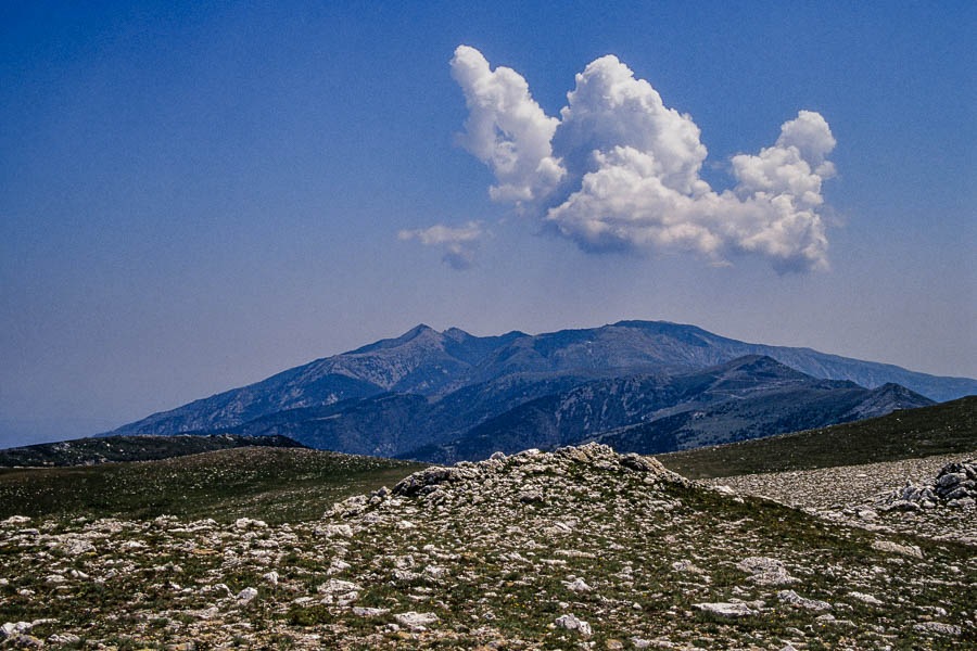 Le Canigou depuis Roc Colom