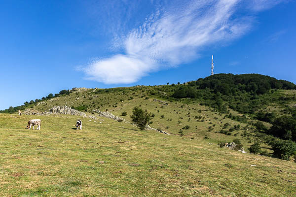 Puig Neulós, 1257 m