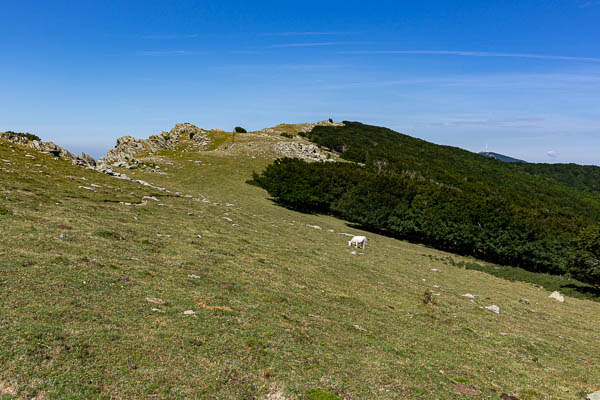 Crête frontière des Albères