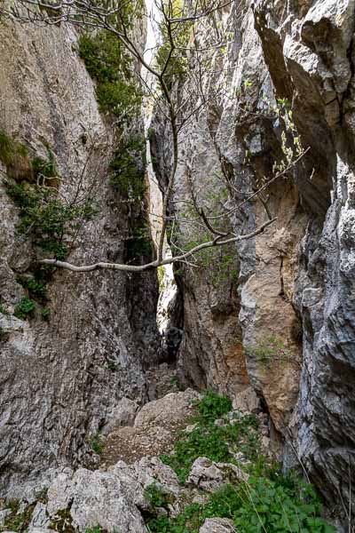 Serra de Sant Gervàs : el Portùs