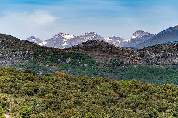 Rocs de Queralt : turó de la Llosa, 1092 m, vue nord, pic de Peguera