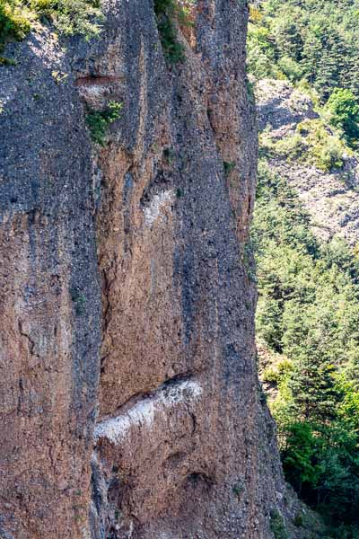 Roca Palomera : nids de vautours fauves